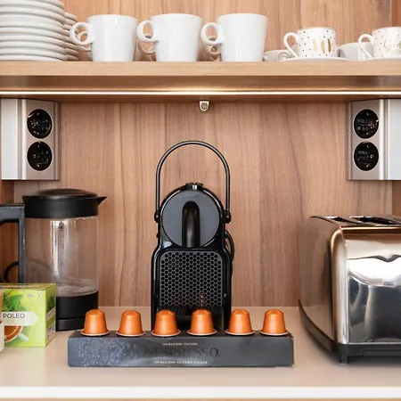 Modern Luxury In Flamingos *