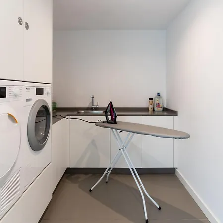 Modern Luxury In Flamingos